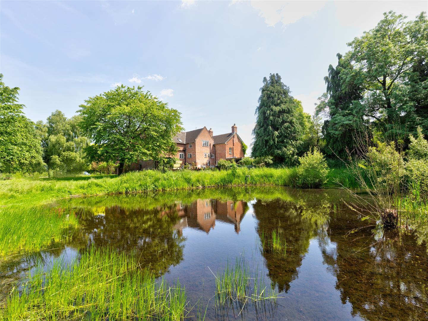 Property Image 05276182-3ff2-431d-846f-2fe182eec14c