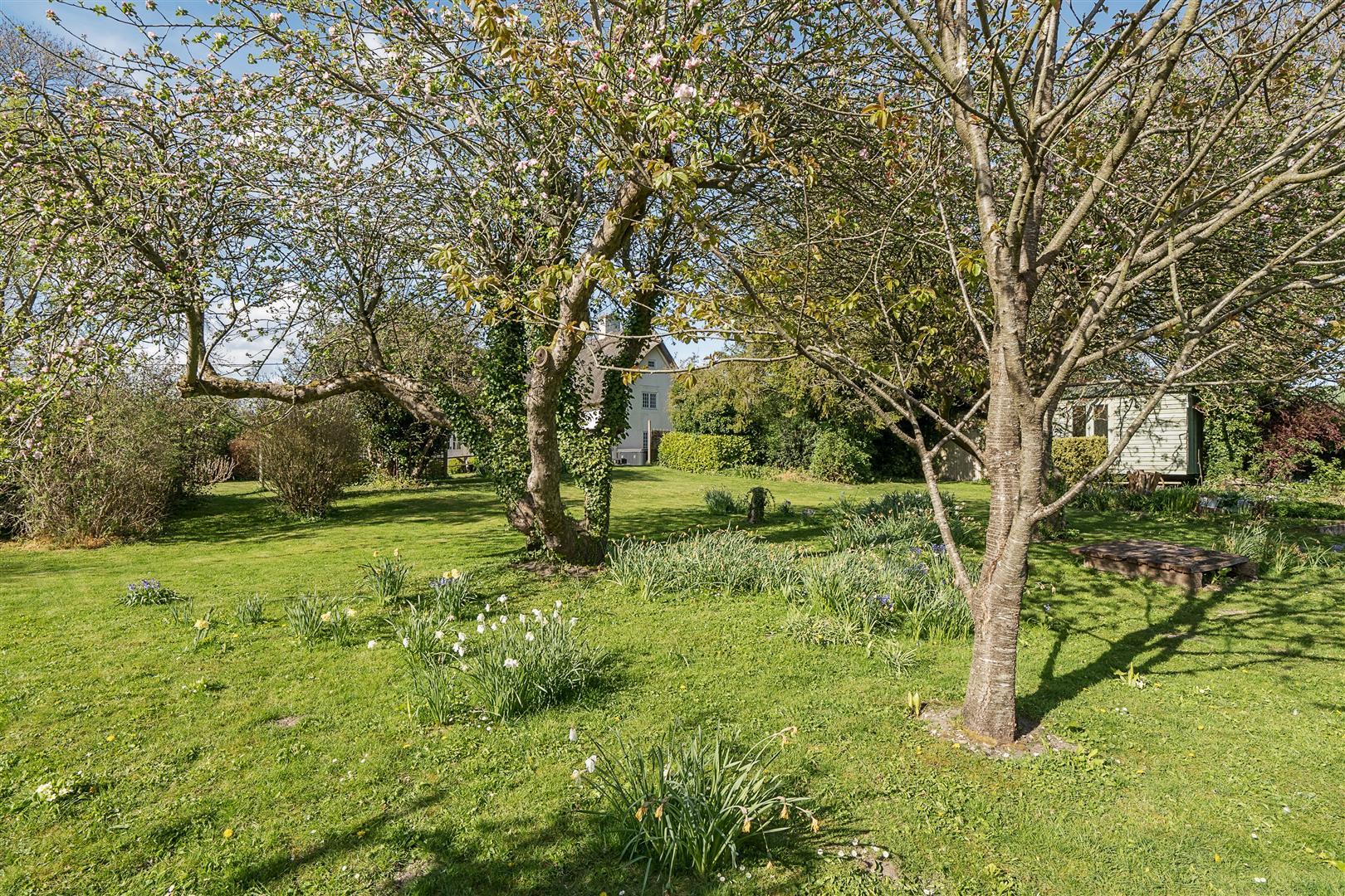 Image 14