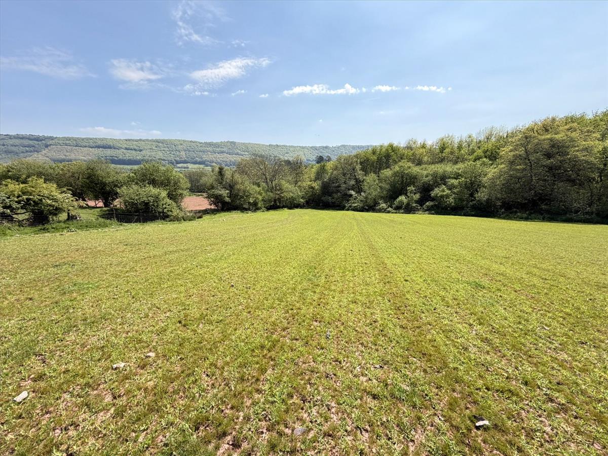 Property Image 055ec050-67aa-480e-8f8a-aae82dcd377b