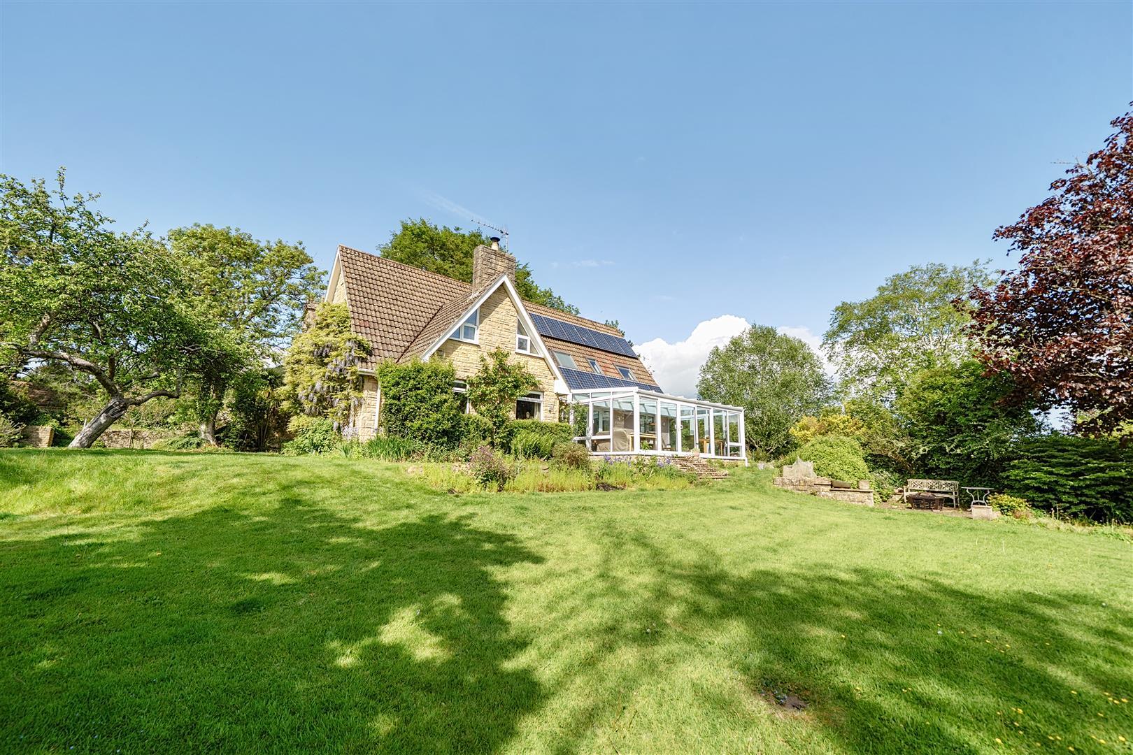 Property Image 058c2be3-8dbf-490c-8d4a-0ad562b1b71e
