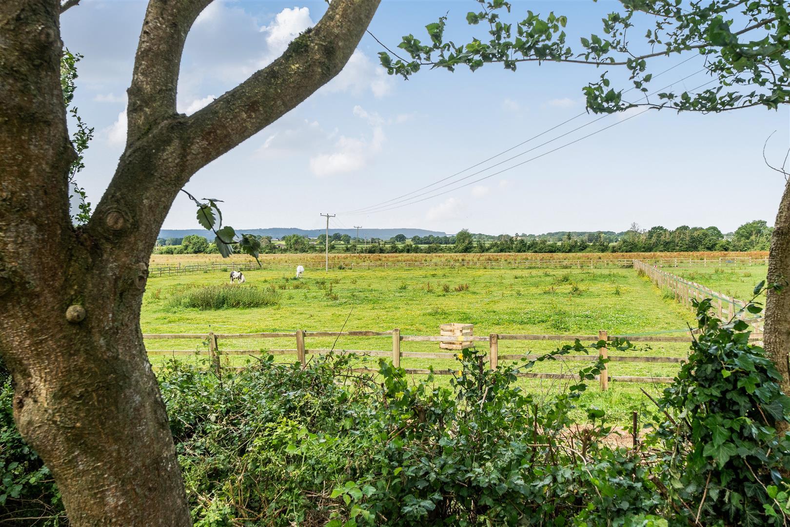 Property Image 05a1b2d1-bf72-47d3-bd6d-d27a852bd55f