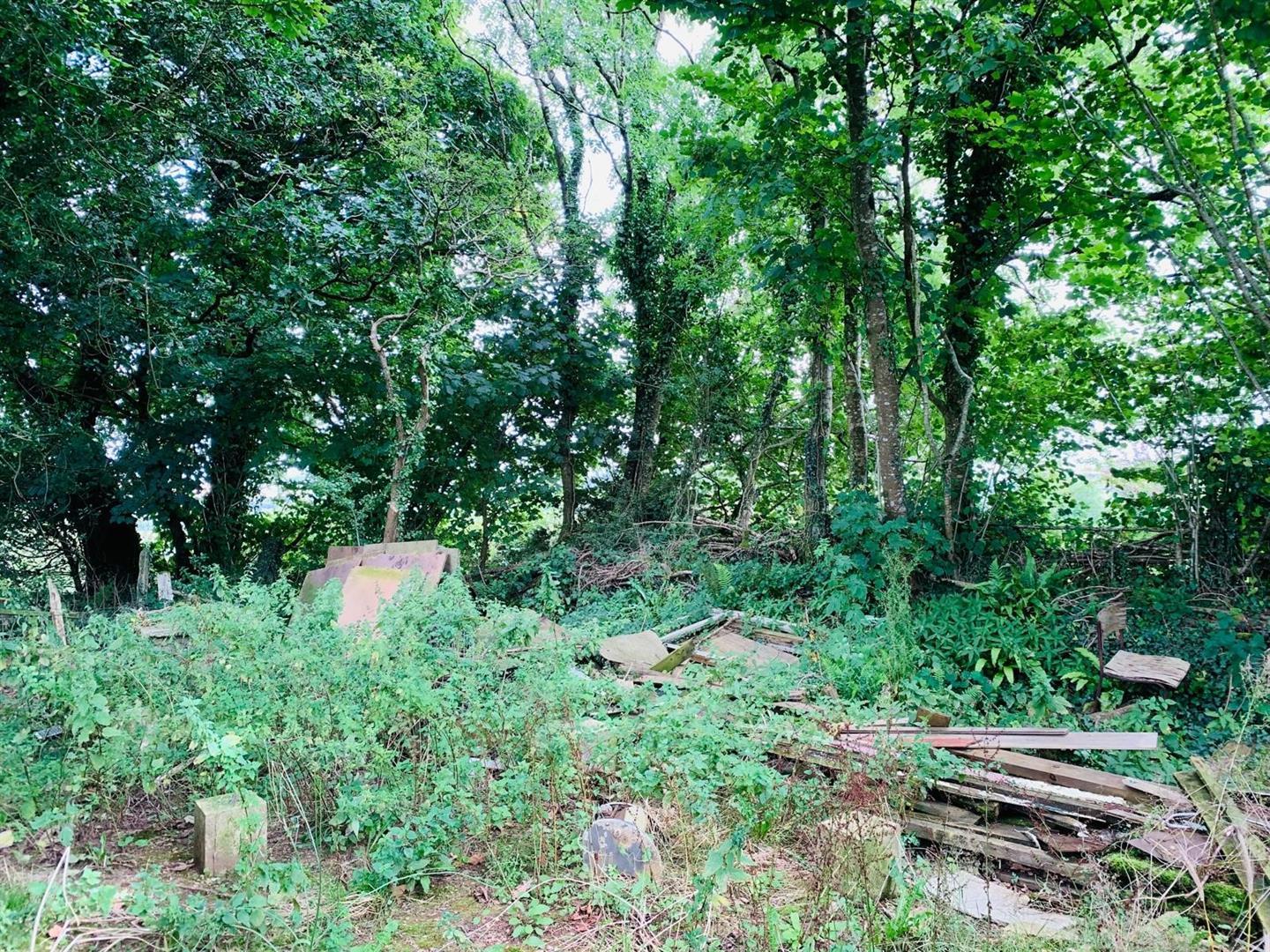Property Image 05b0941f-65aa-4617-babe-5b4c272b4eee