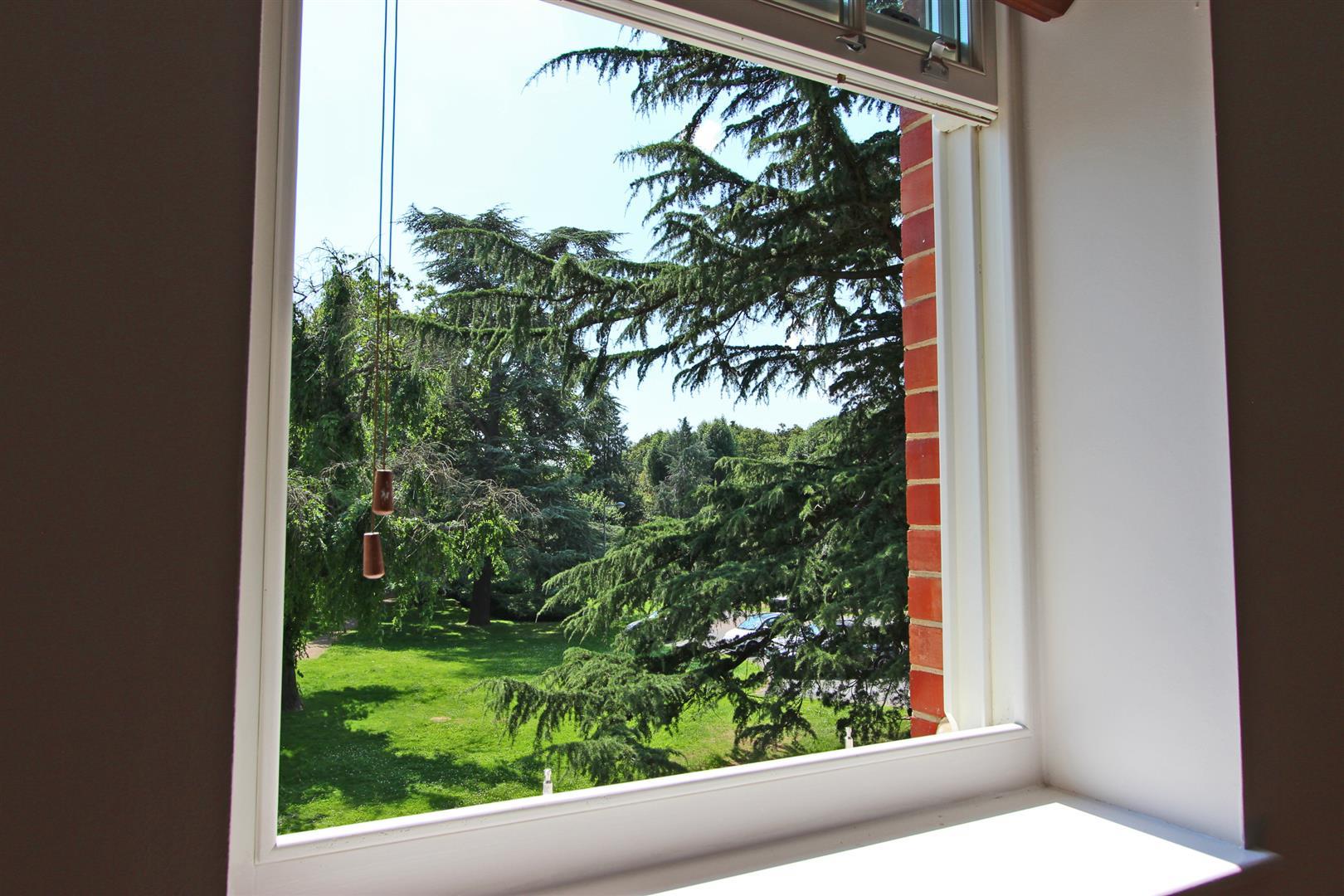 Property Image 05c75205-b8da-4ae2-90cb-19247e57d304