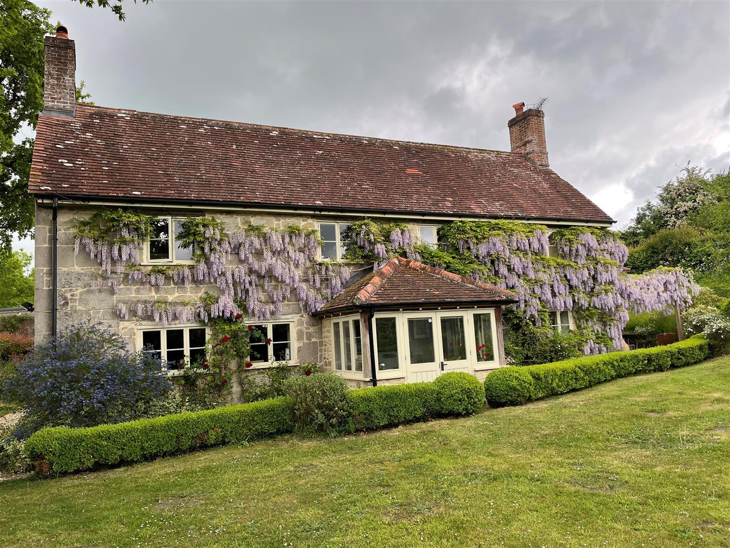 Image 25