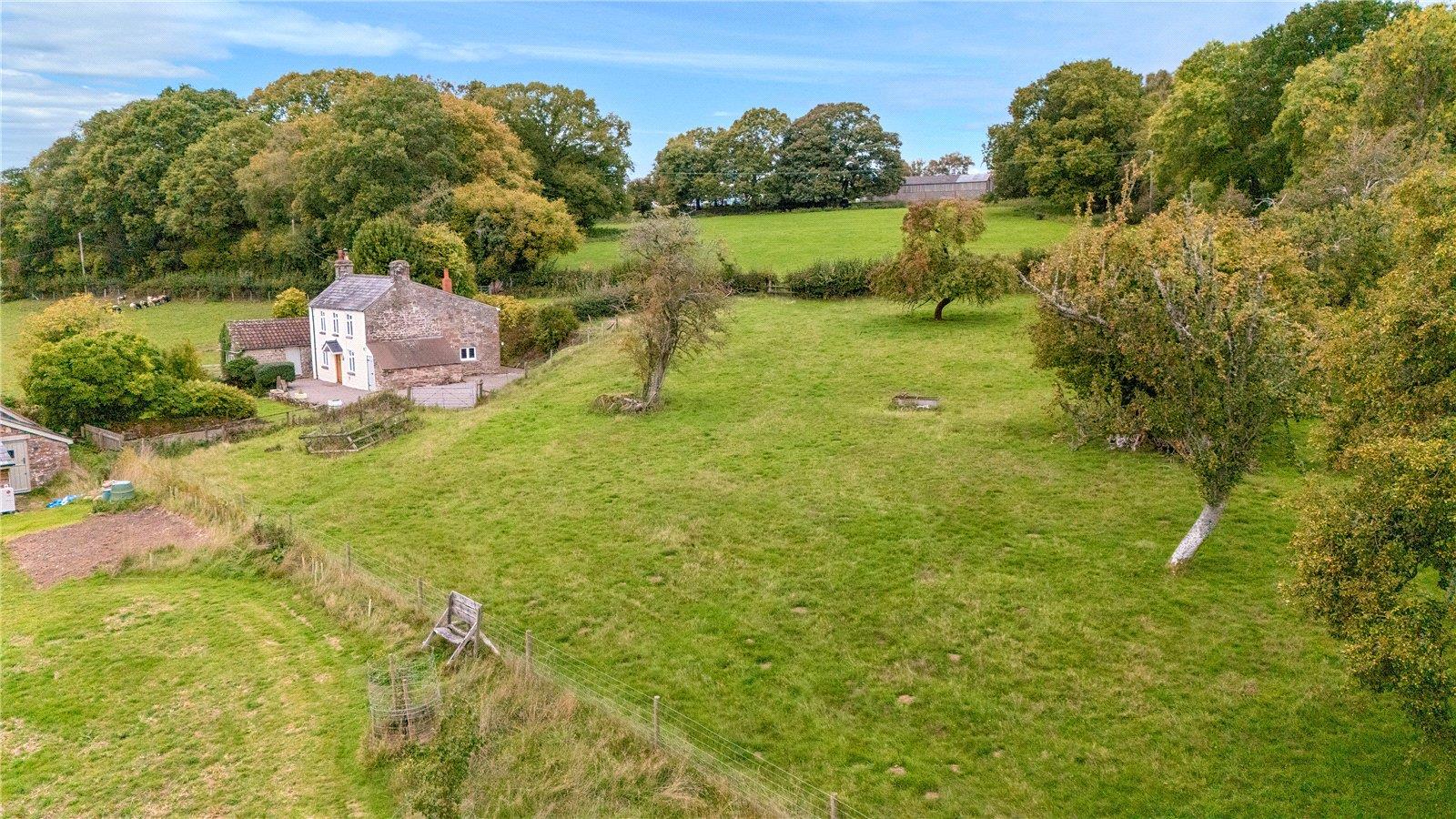 Property Image 060fb4c2-3a8f-4f7e-bf55-3b0da00b17bc