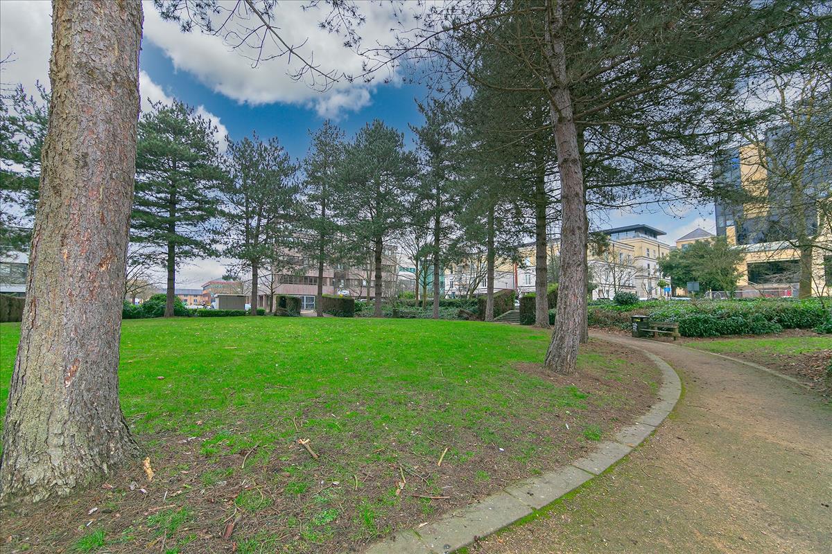 Property Image 06201747-c07d-44d3-887f-696dd343cb26