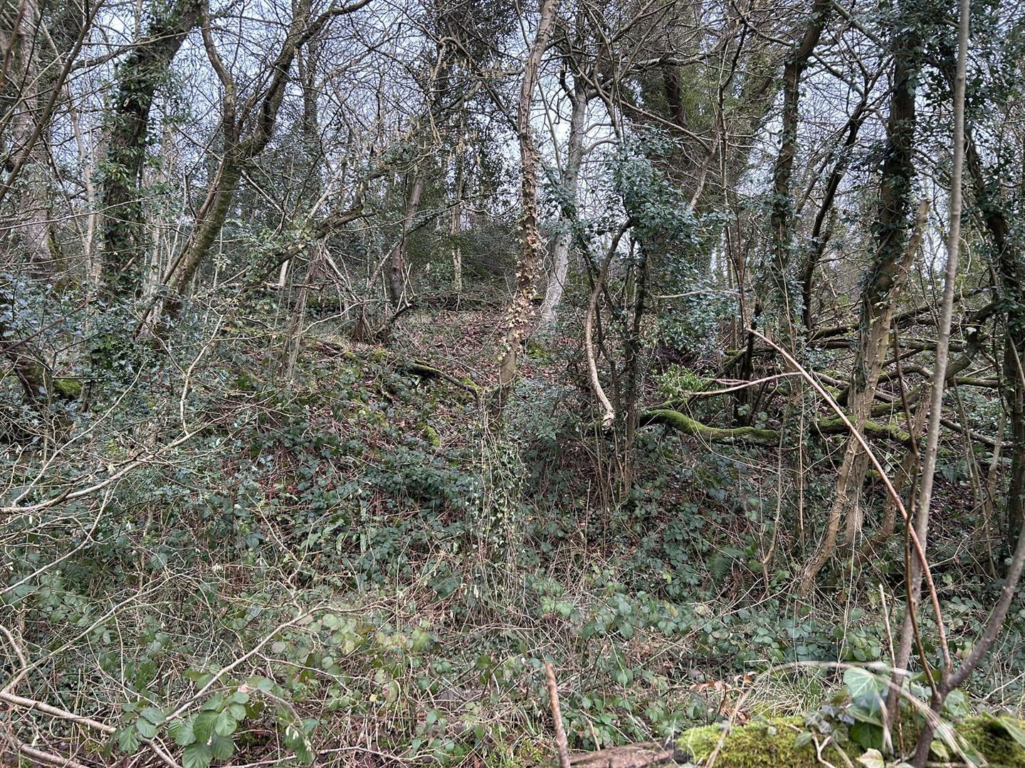 Property Image 0643b398-a4e2-4f70-9061-98e239018066