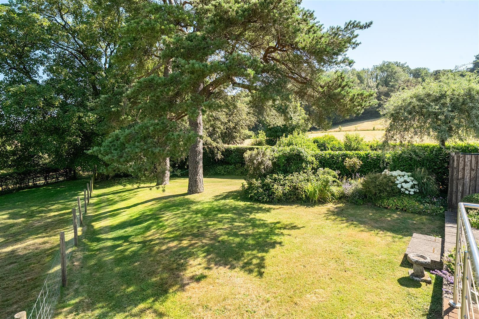 Property Image 069bbcb3-8352-45cc-bc60-c125ef0d14e6