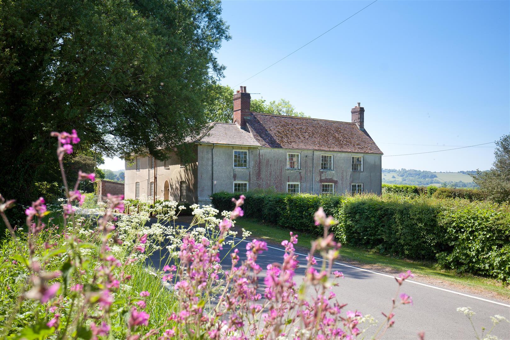 Property Image 06c9fa65-3822-45f5-a407-320909d0ff3f