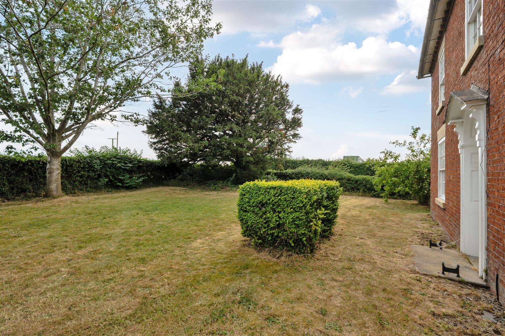 Image 15