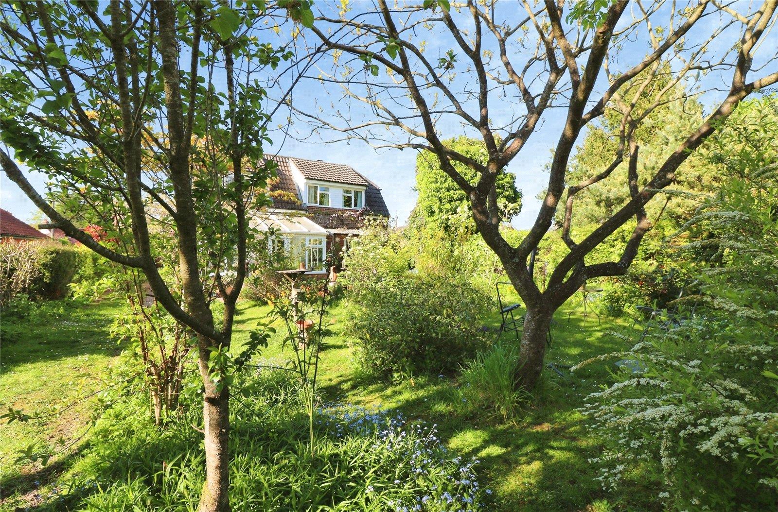 Property Image 0706a7e6-3074-4e10-8f22-ebf18b6f7758