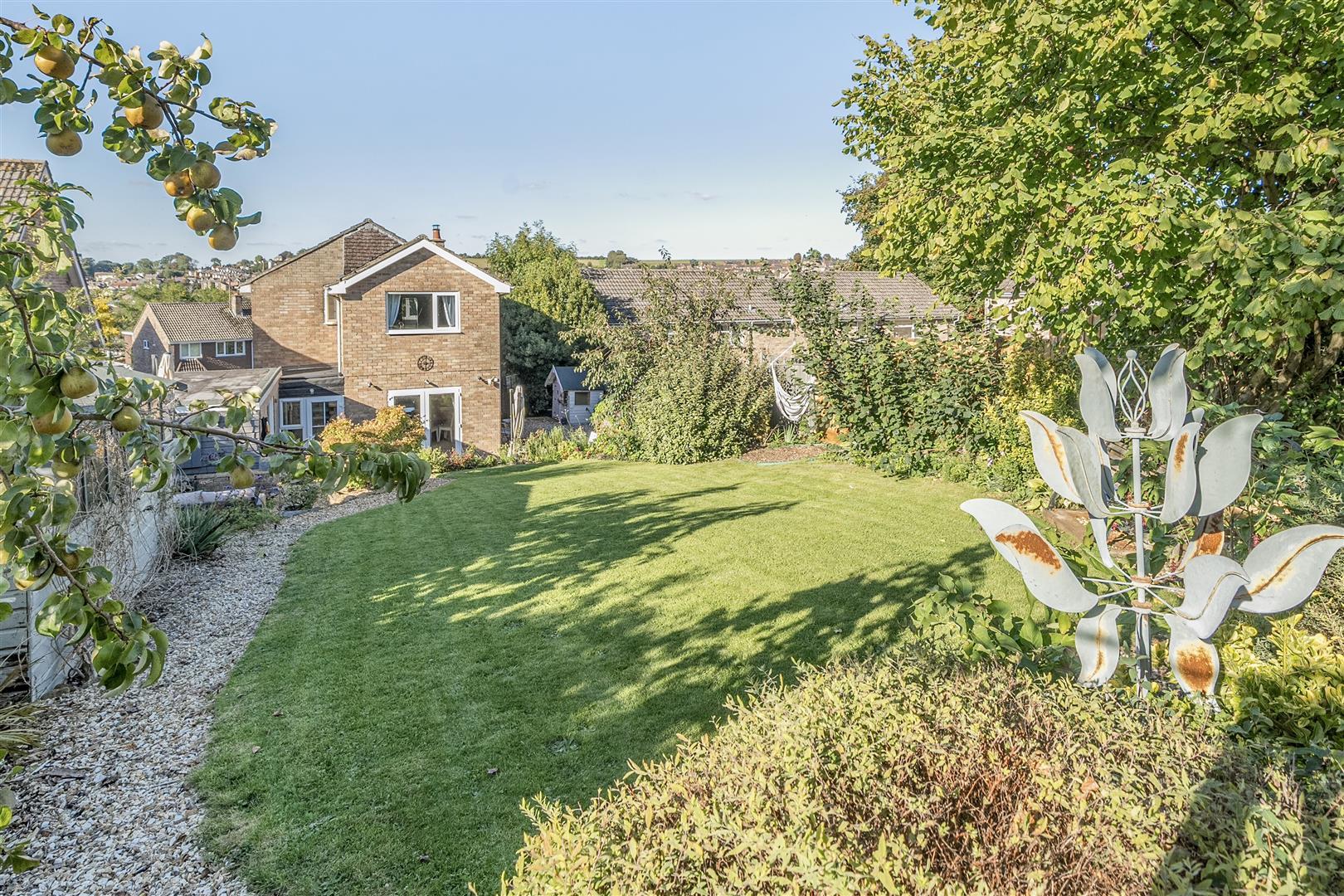 Property Image 0723af4b-6892-4e60-894c-a723acbf0a8d