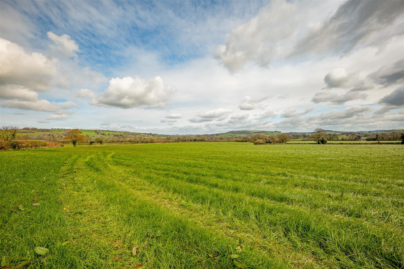 Property Image 073f8cf2-237f-4f91-8383-575cec69a0f5