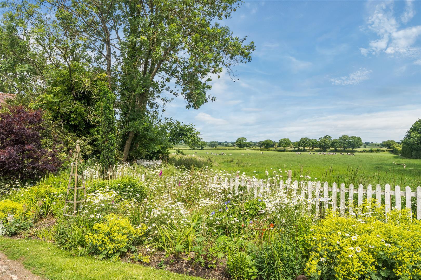 Property Image 075976e1-b03f-4723-8812-b764887790db