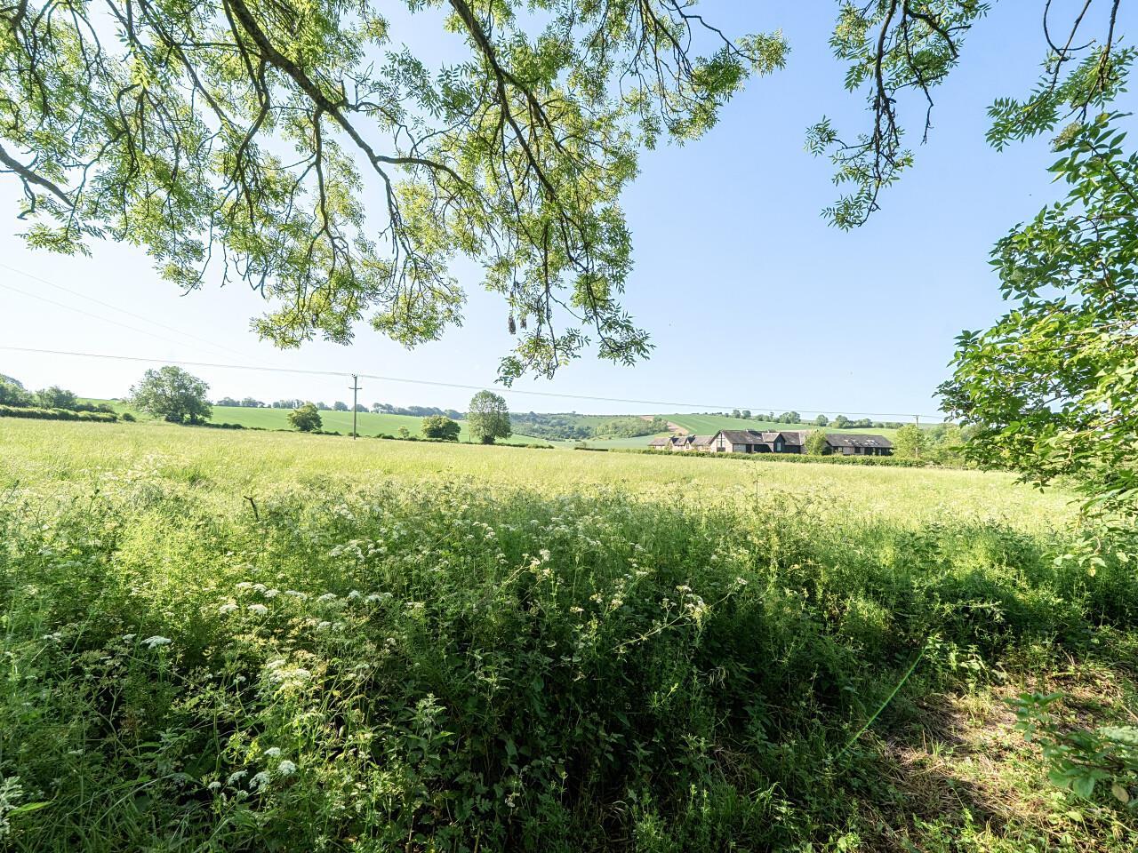 Property Image 076e9d5b-de89-4c01-95ad-19d3269dfbdd