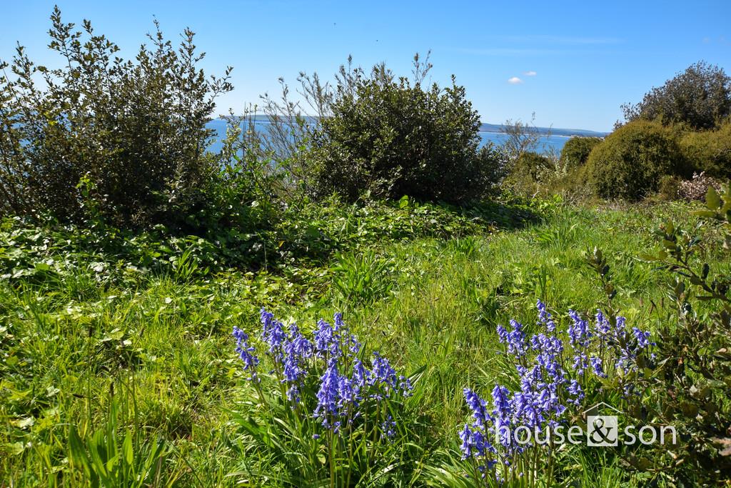 Property Image 07791035-6ad2-409d-9dd7-60f90e51a8b5