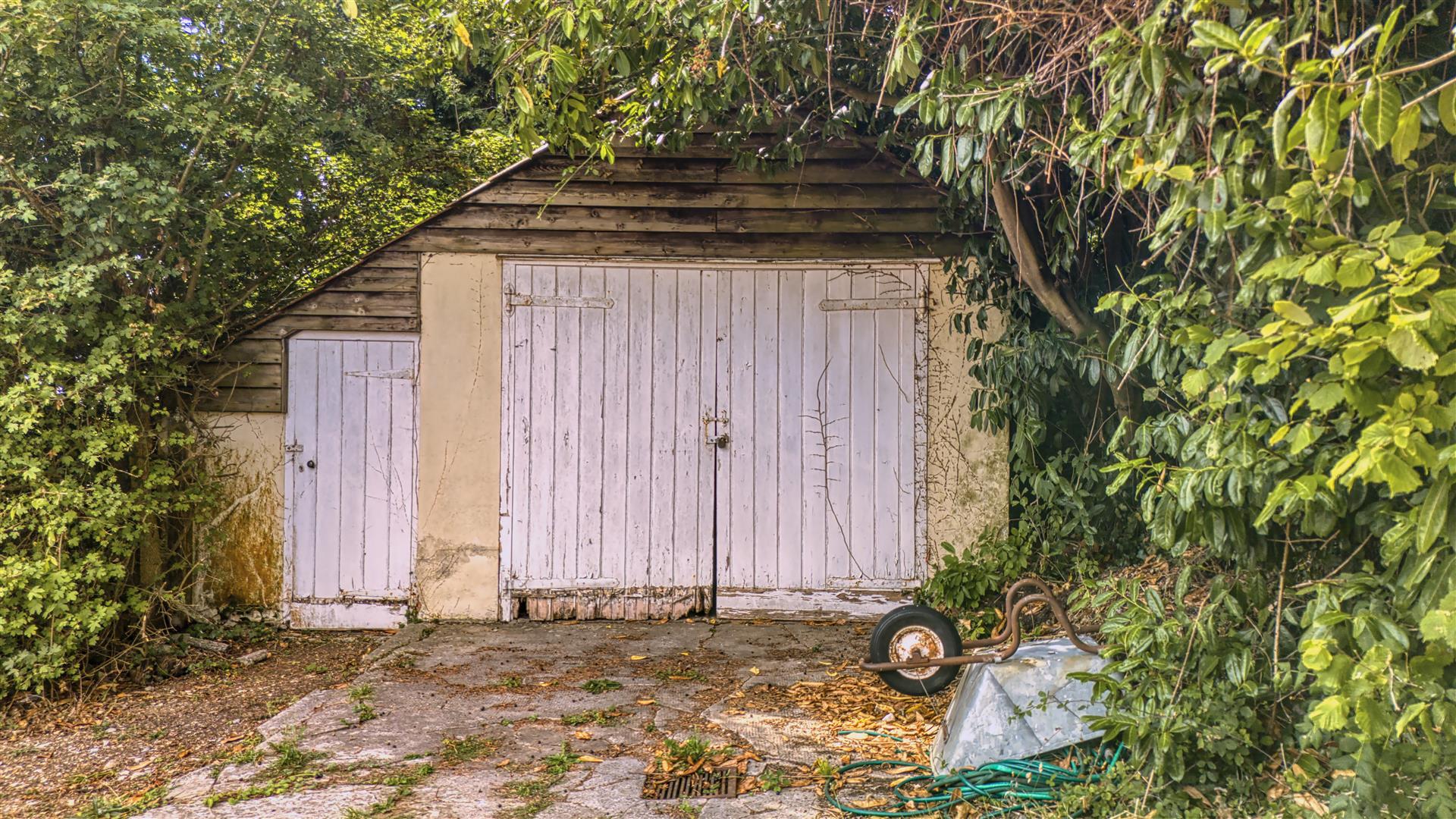 Image 19