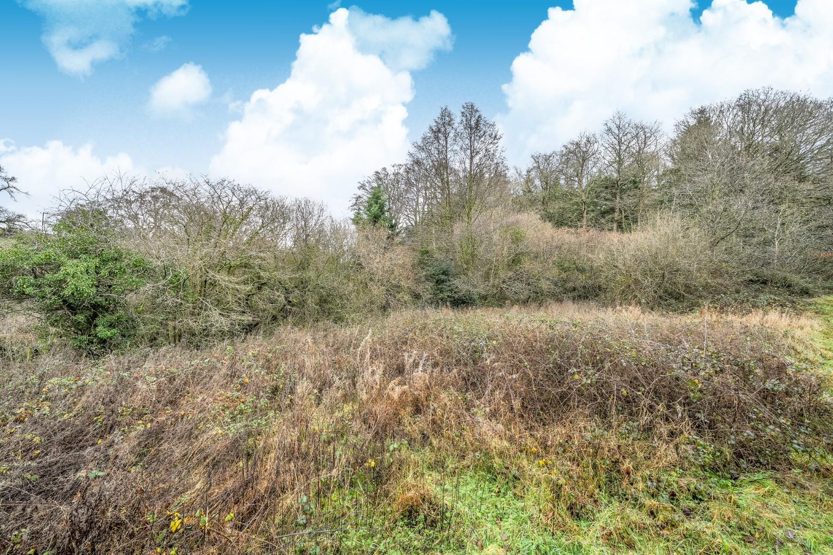 Property Image 079a1abb-3a26-4161-850f-601ea61f6bab