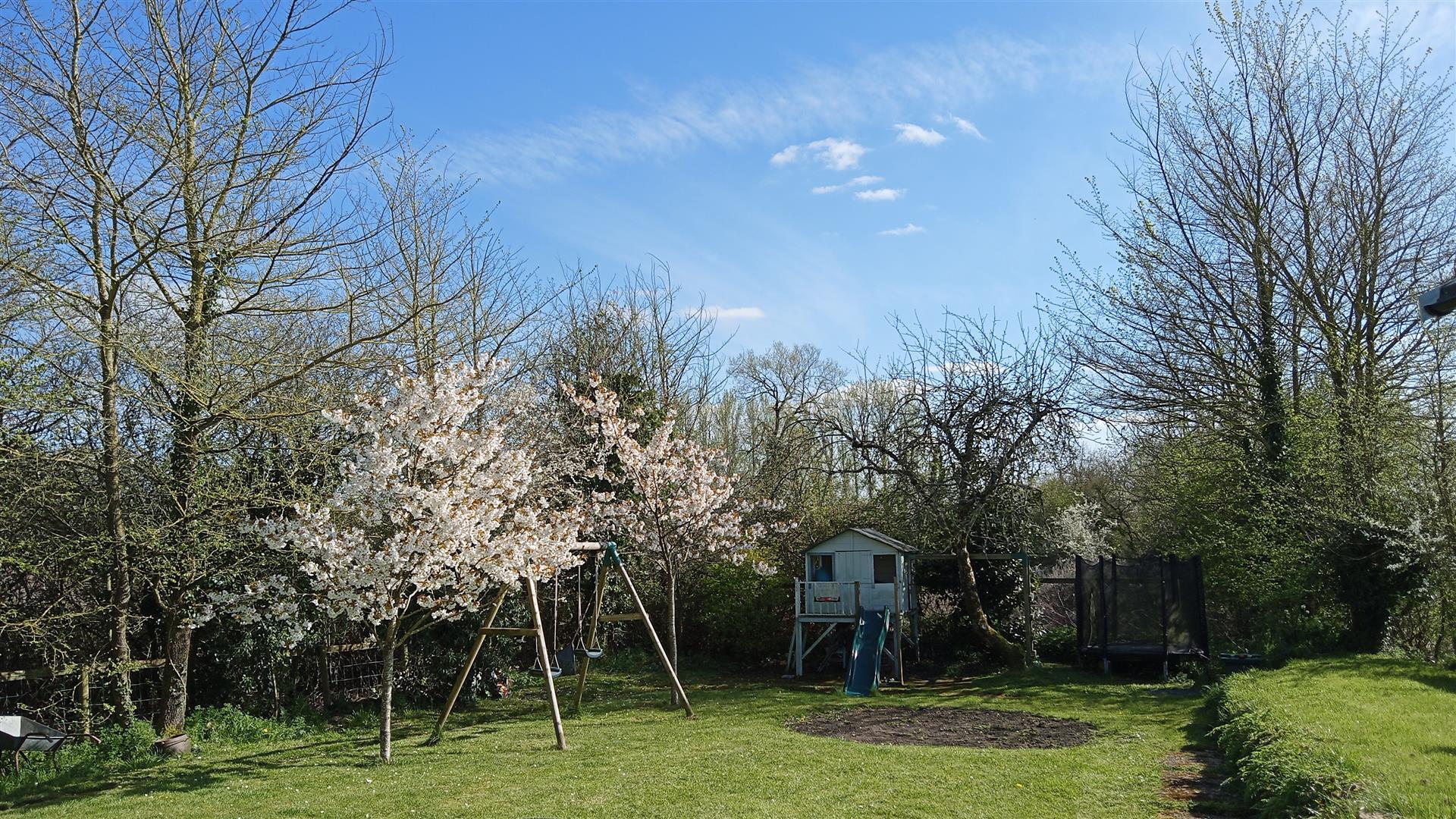 Property Image 07ca8cf5-cba4-426a-ba5e-d022c38b862e