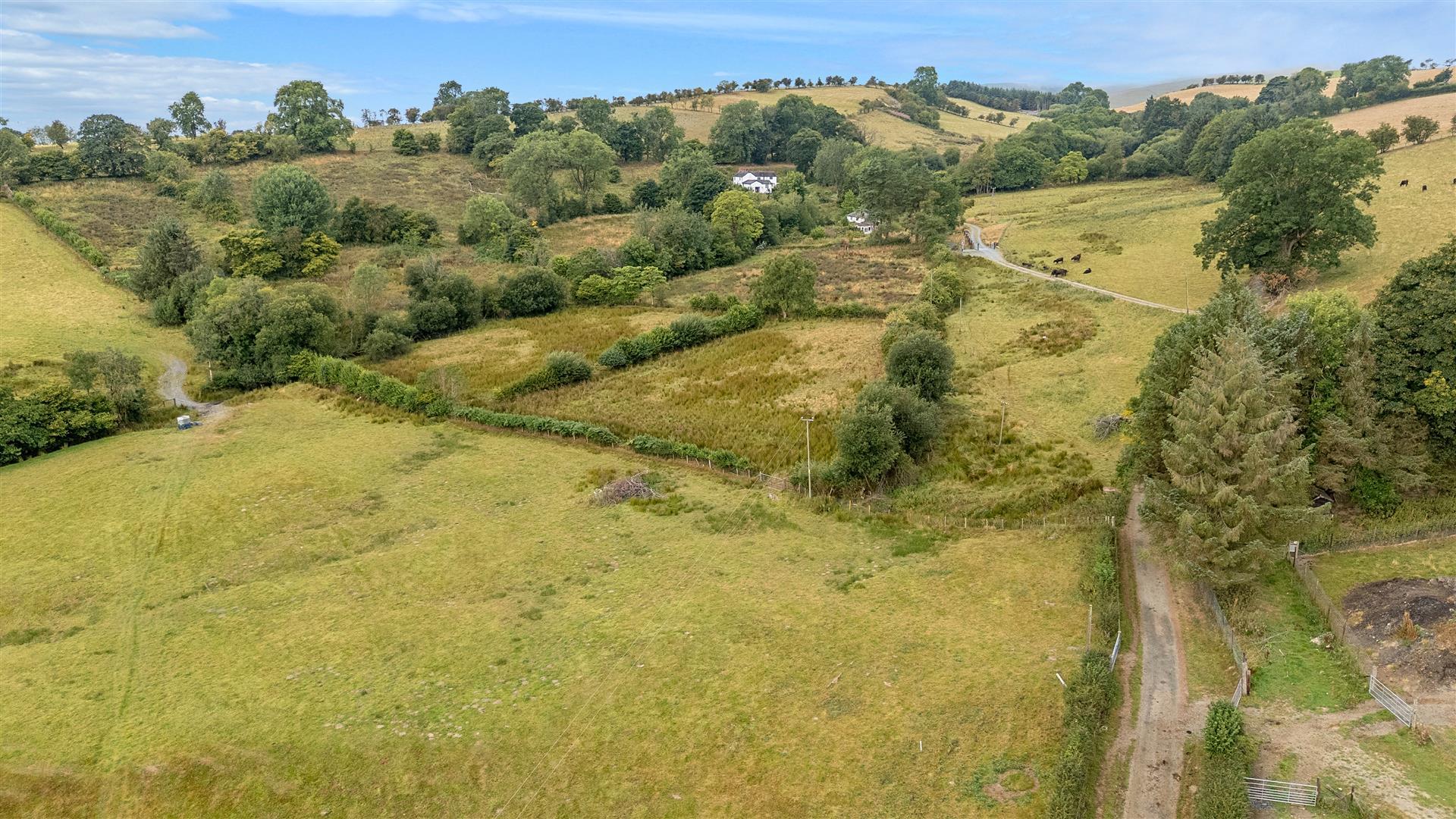 Property Image 07cedc8d-c1d2-4a1d-a69e-6b27b04c81e0