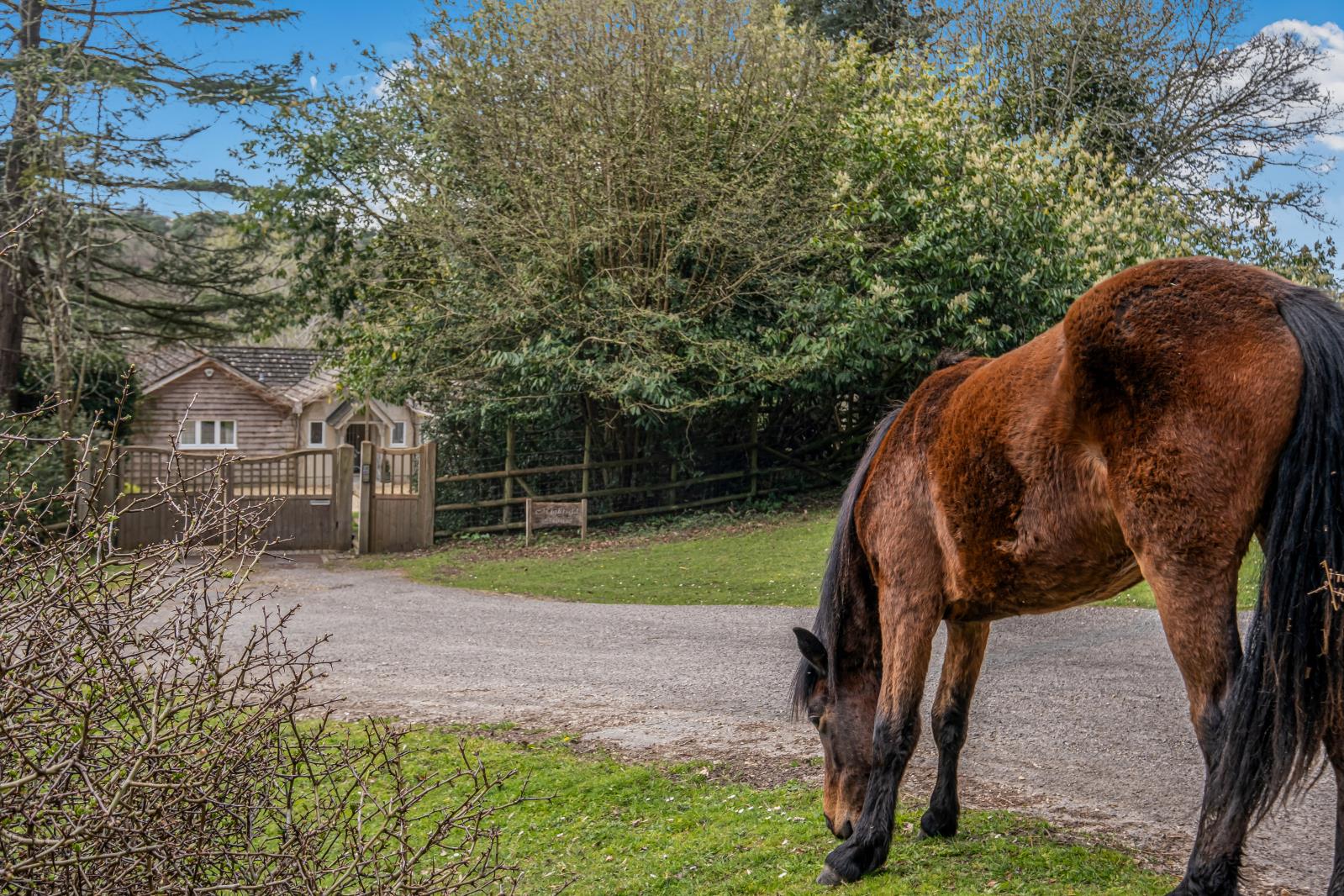 Property Image 07df620b-1041-4df8-b0b0-4943c24e2eb5
