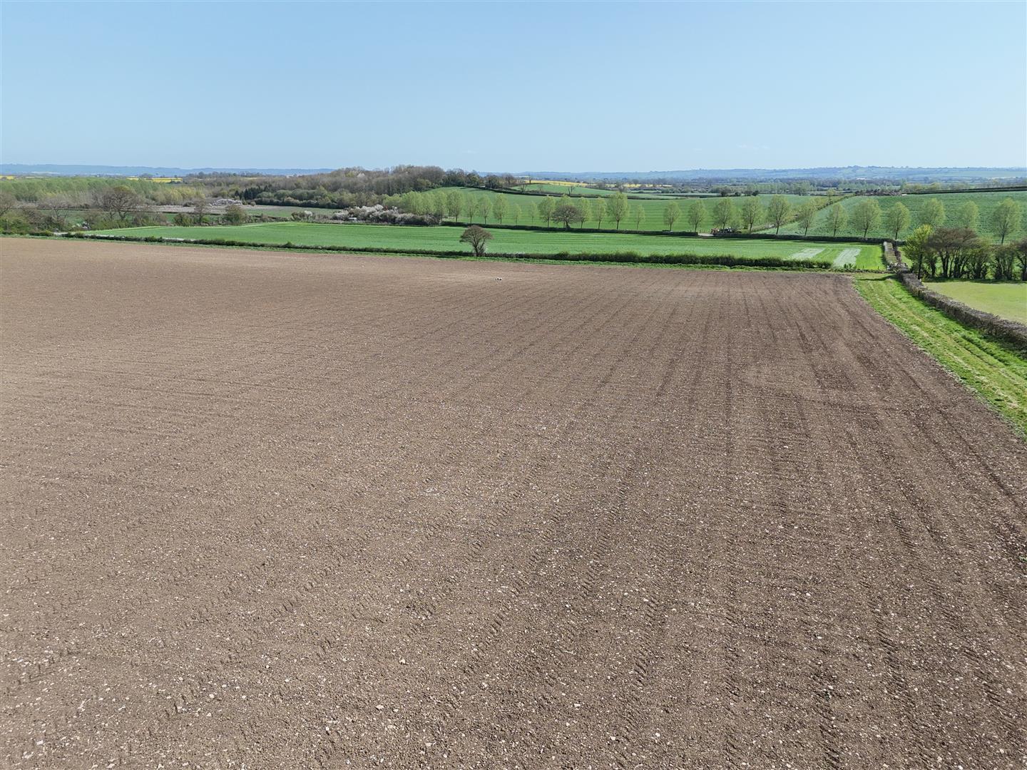 Property Image 07f0de31-14ac-497b-b0cc-08c2586d4b60
