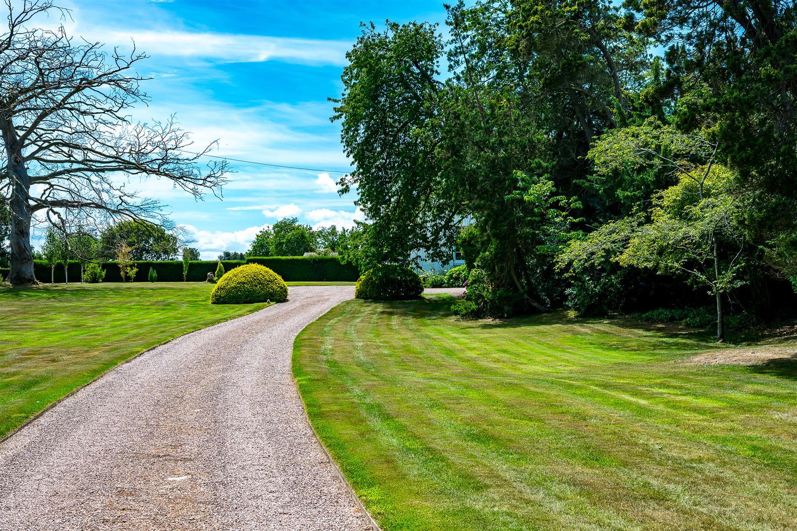 Property Image 07f2ebd8-e437-4b2d-9f5e-82b3ef91d024