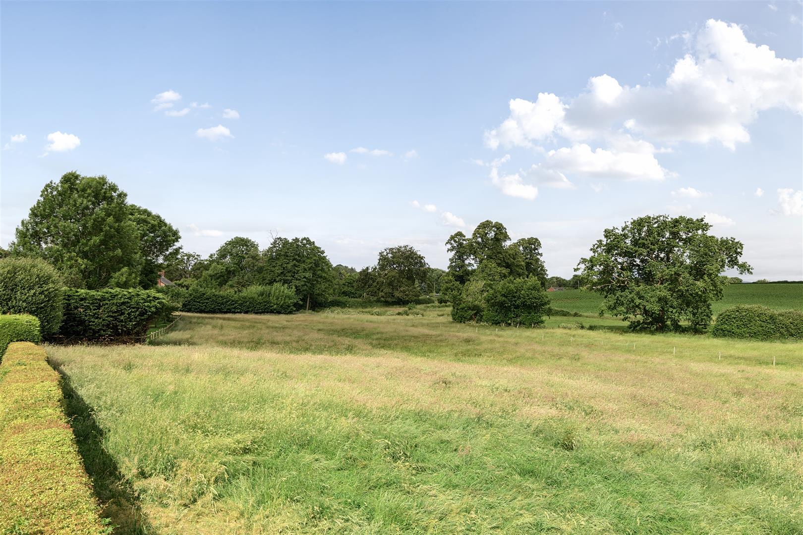 Property Image 07f4e095-697e-4213-b6e1-ab8422b29585