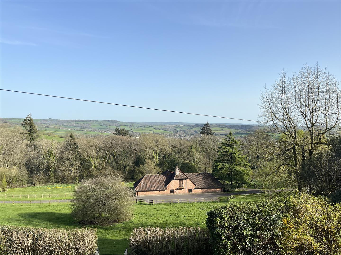 Image 13