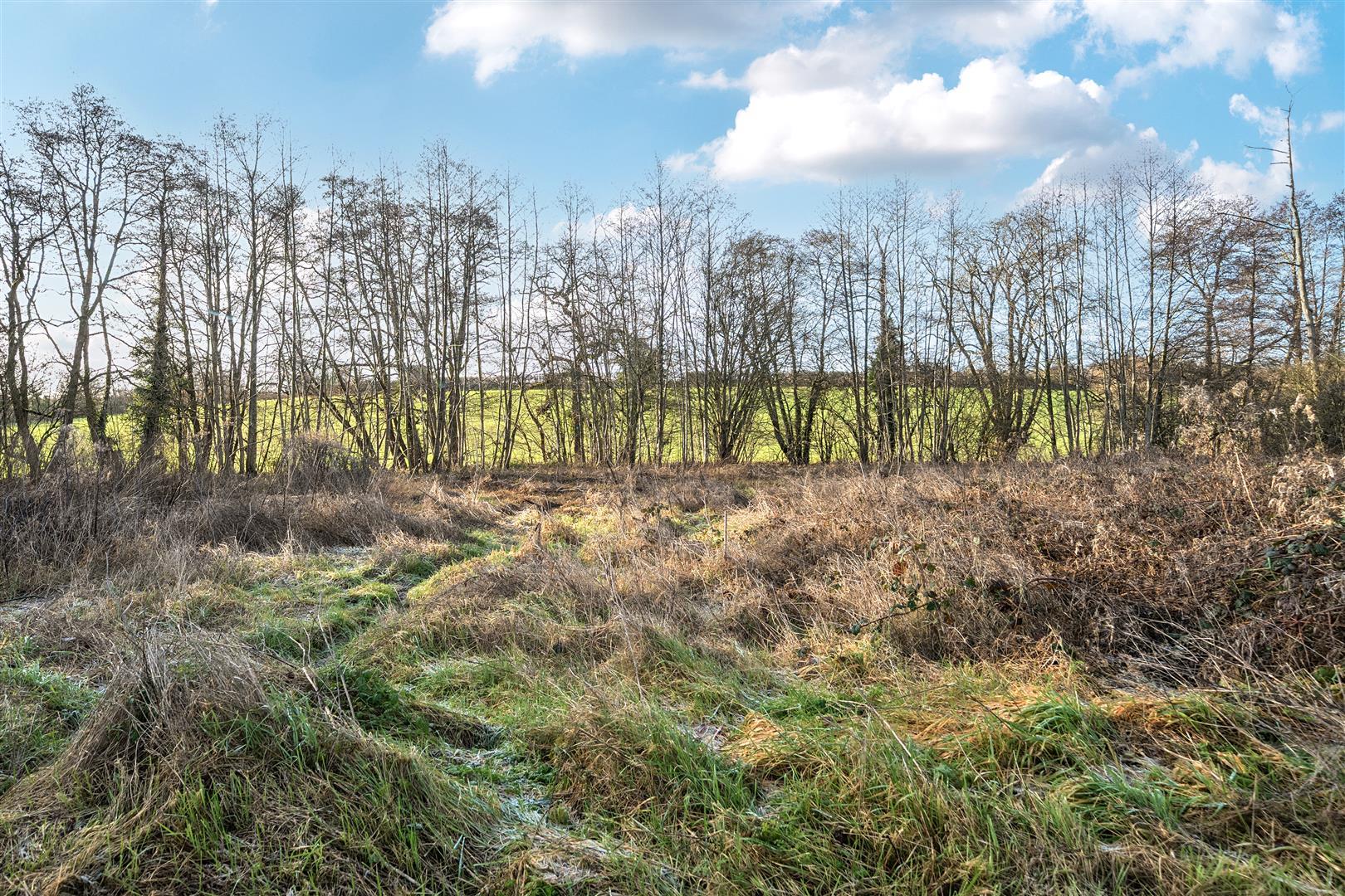 Property Image 0828bc13-e6c8-44e9-9cce-09511bc1f731
