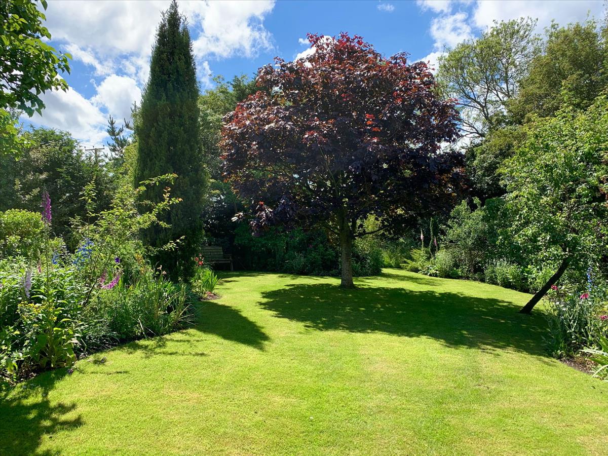 Image 32