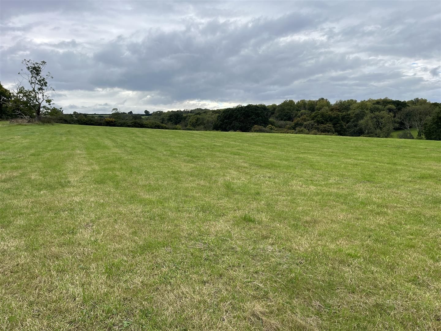 Property Image 089c755b-48b0-46ac-a26e-f6fd8d968039