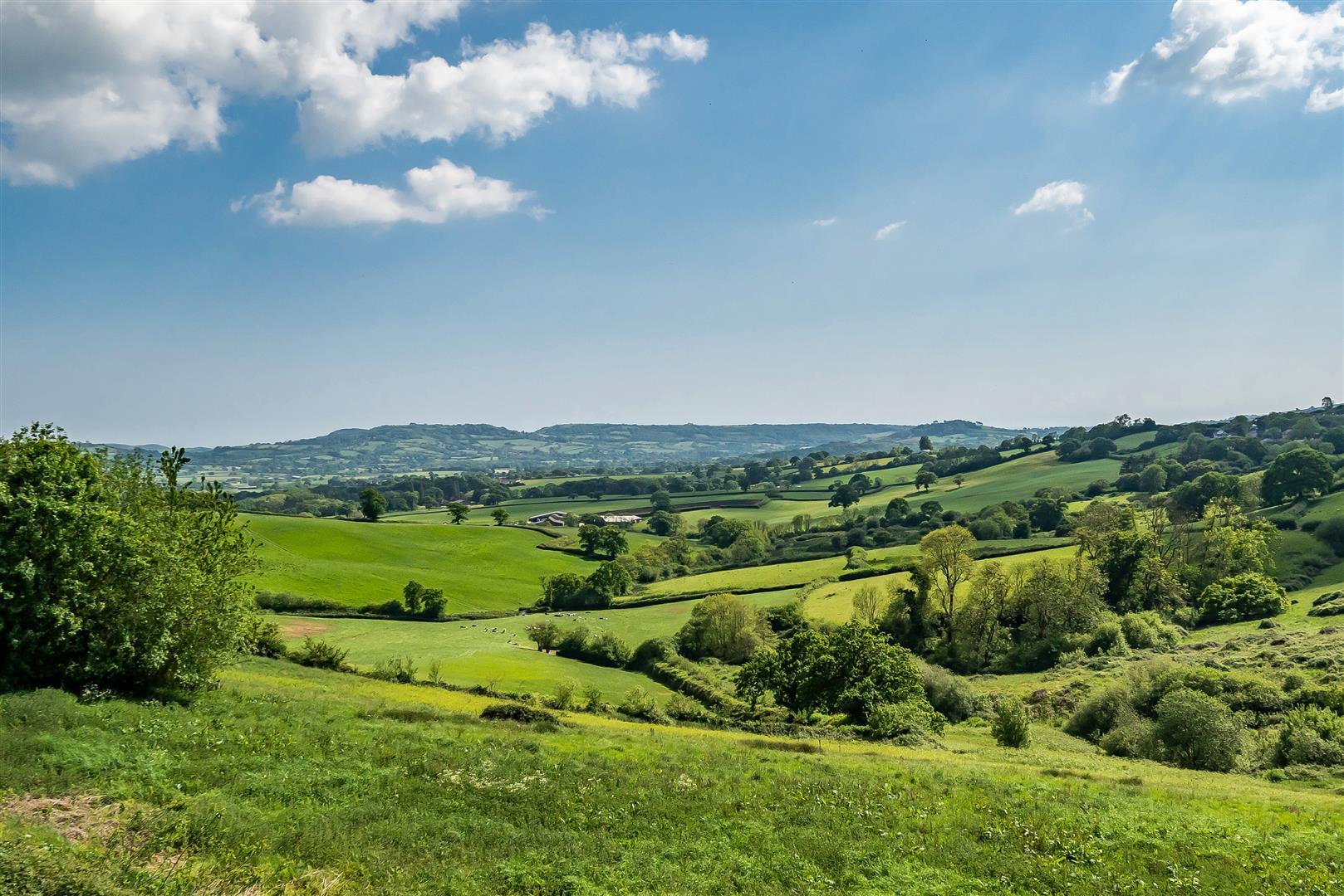 Property Image 08a133a0-89fd-492c-895c-dc54691b1c7b