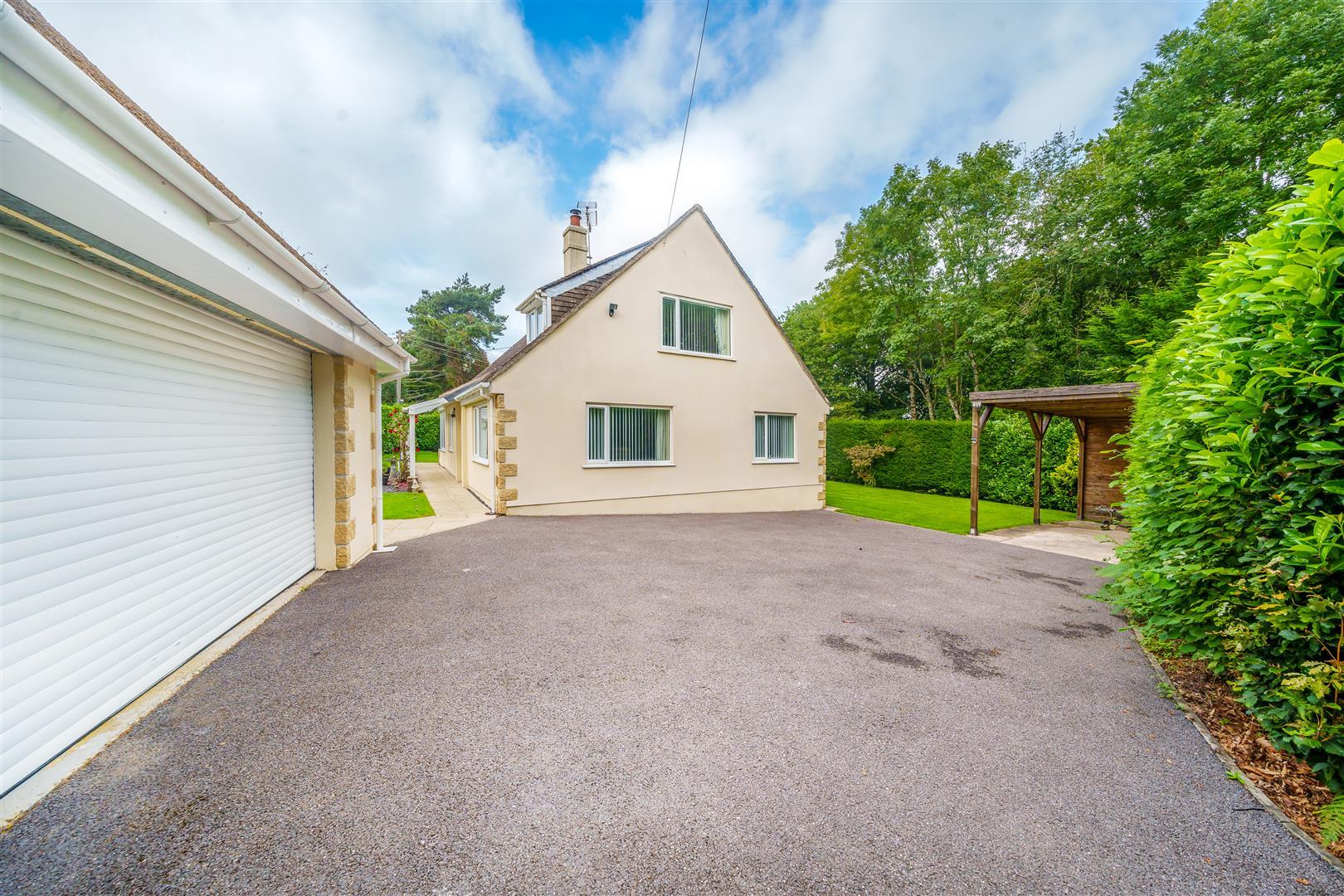Property Image 08a7c71b-4a86-4999-b0c0-65545d9b9b48