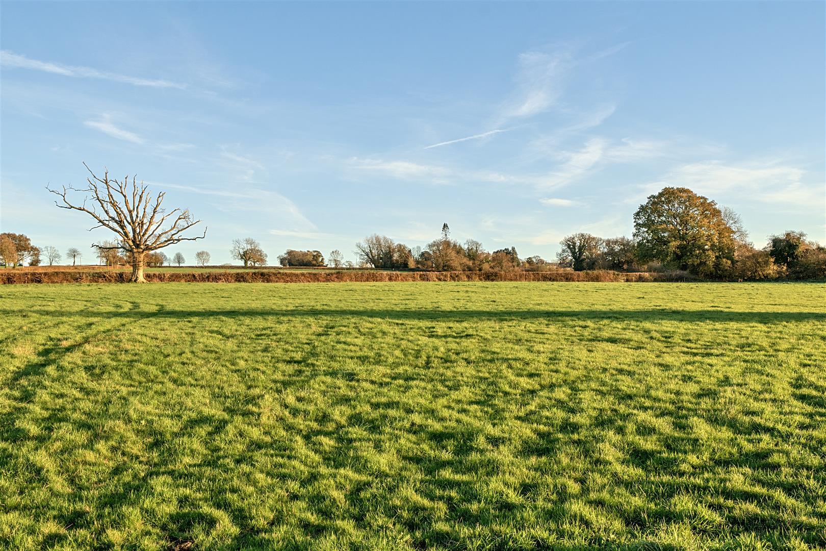 Property Image 0904e756-d824-463b-9b08-85f7388ac72b