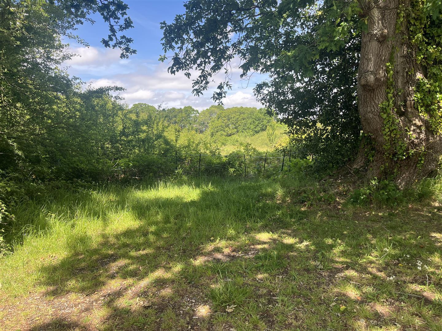 Property Image 0947a371-c718-45d9-89aa-64b83fc08be1
