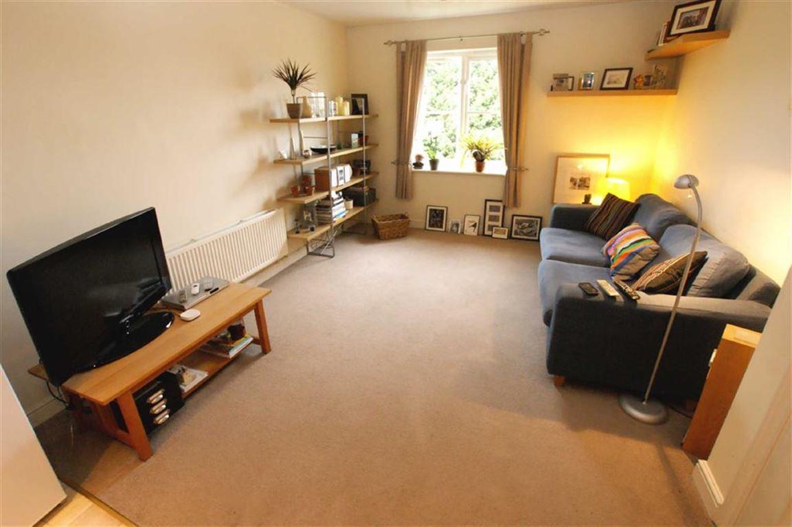 Property Image 09579a90-bad6-4857-9688-5f809a78c82b