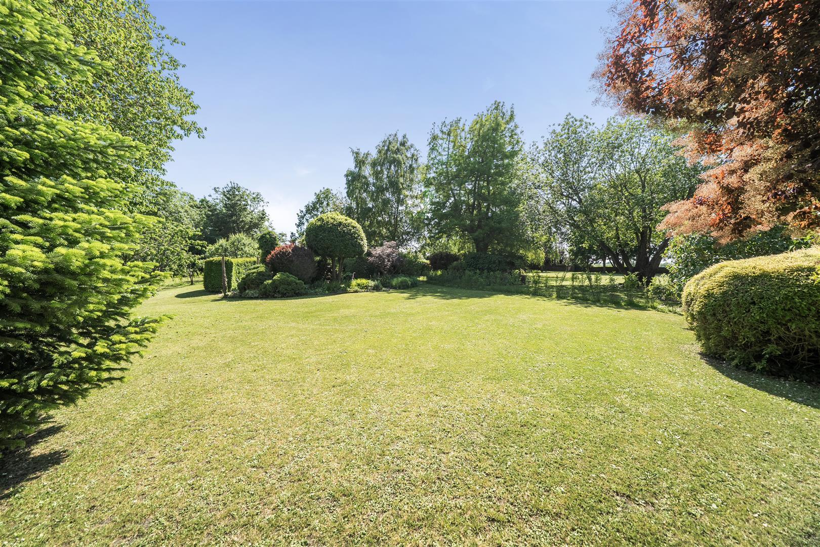 Property Image 096cc189-7df7-4017-9d08-beb3b1151561