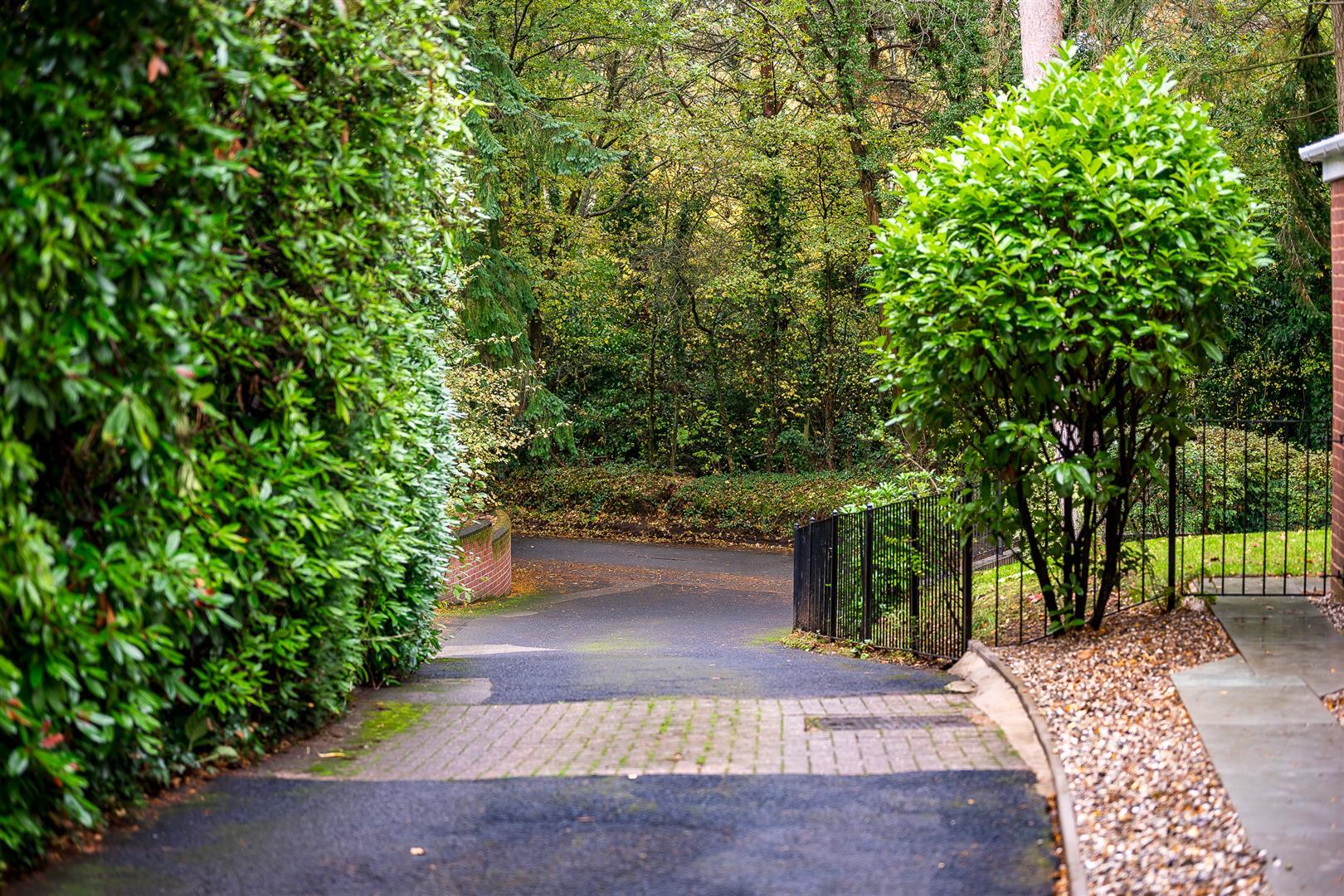 Property Image 096f4c7a-03b8-4a5e-aa62-e4035eeb4ca7