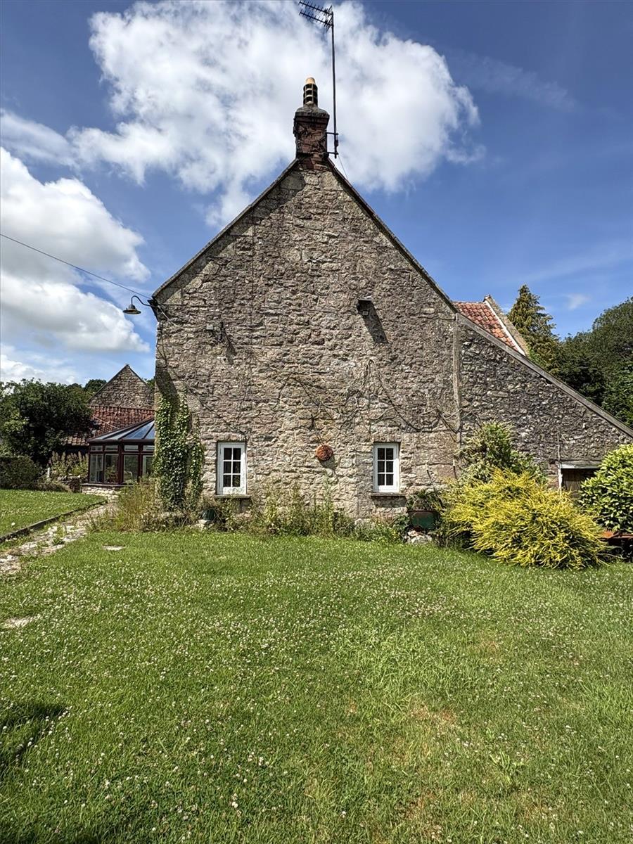 Image 19
