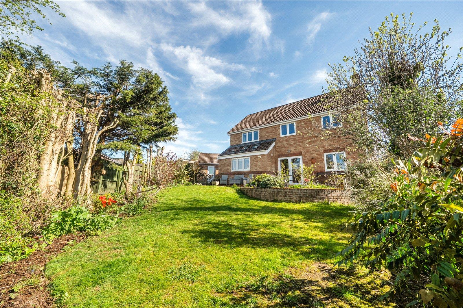 Property Image 09ce5a71-d61d-4495-8d38-7a51550d267b