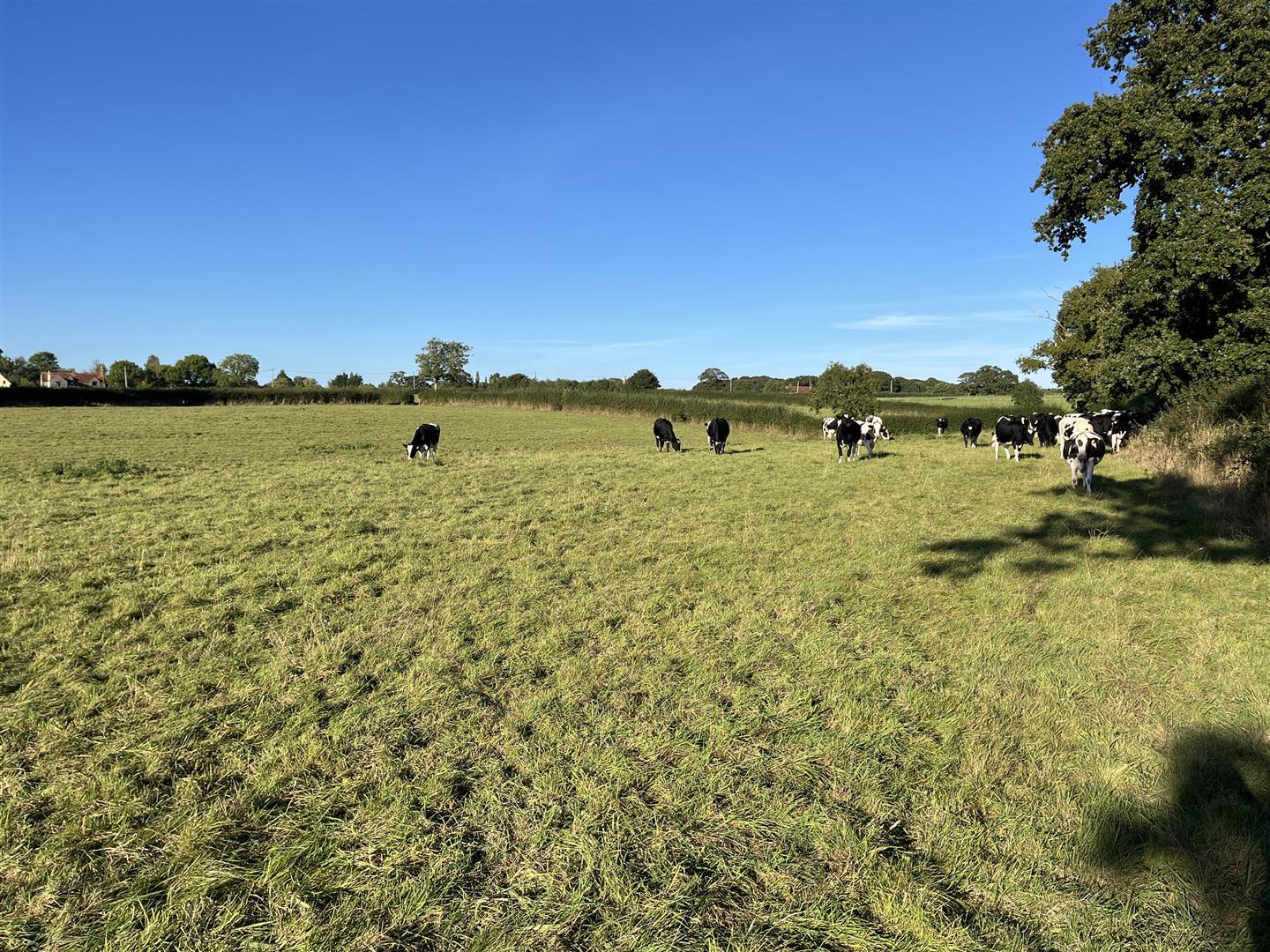 Property Image 09f4cb5c-7d83-405e-bd48-c9d5ecb4d570