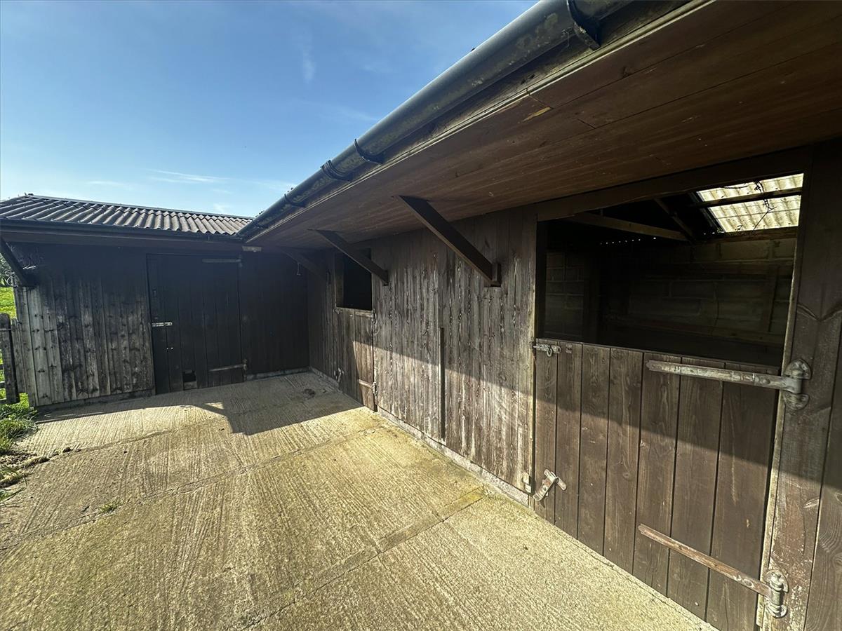 Property Image 0a07bdb2-42d8-4e82-95ed-8da37926face