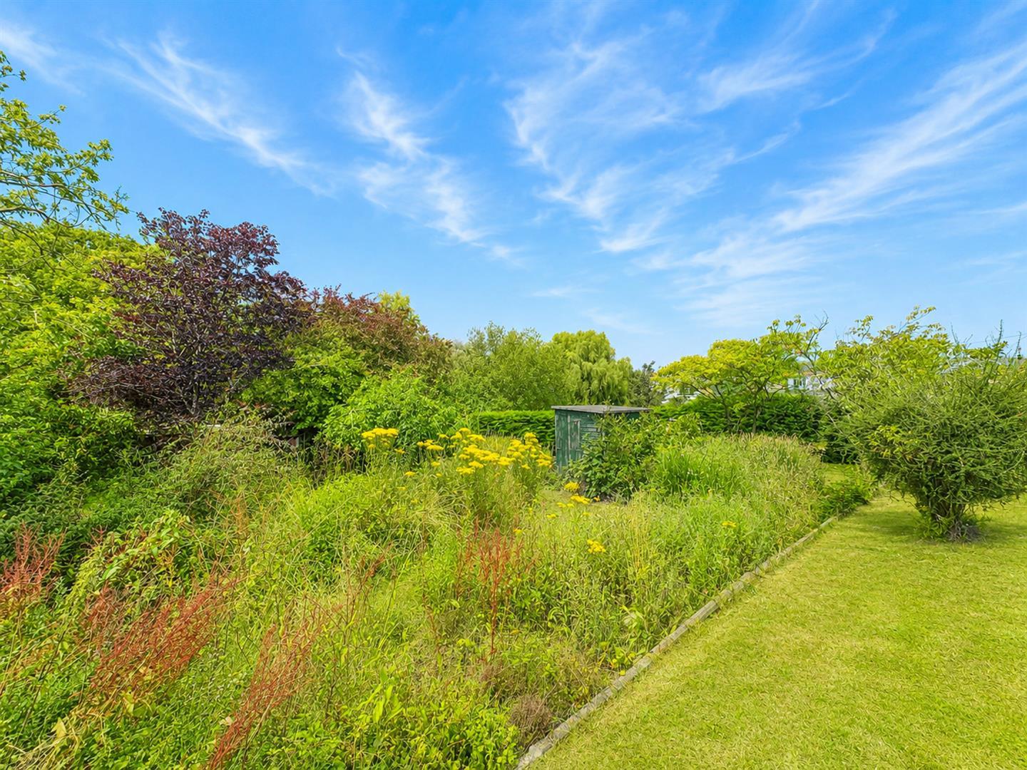 Property Image 0a15b2f0-1e35-43a4-acce-c3d78739a5f7