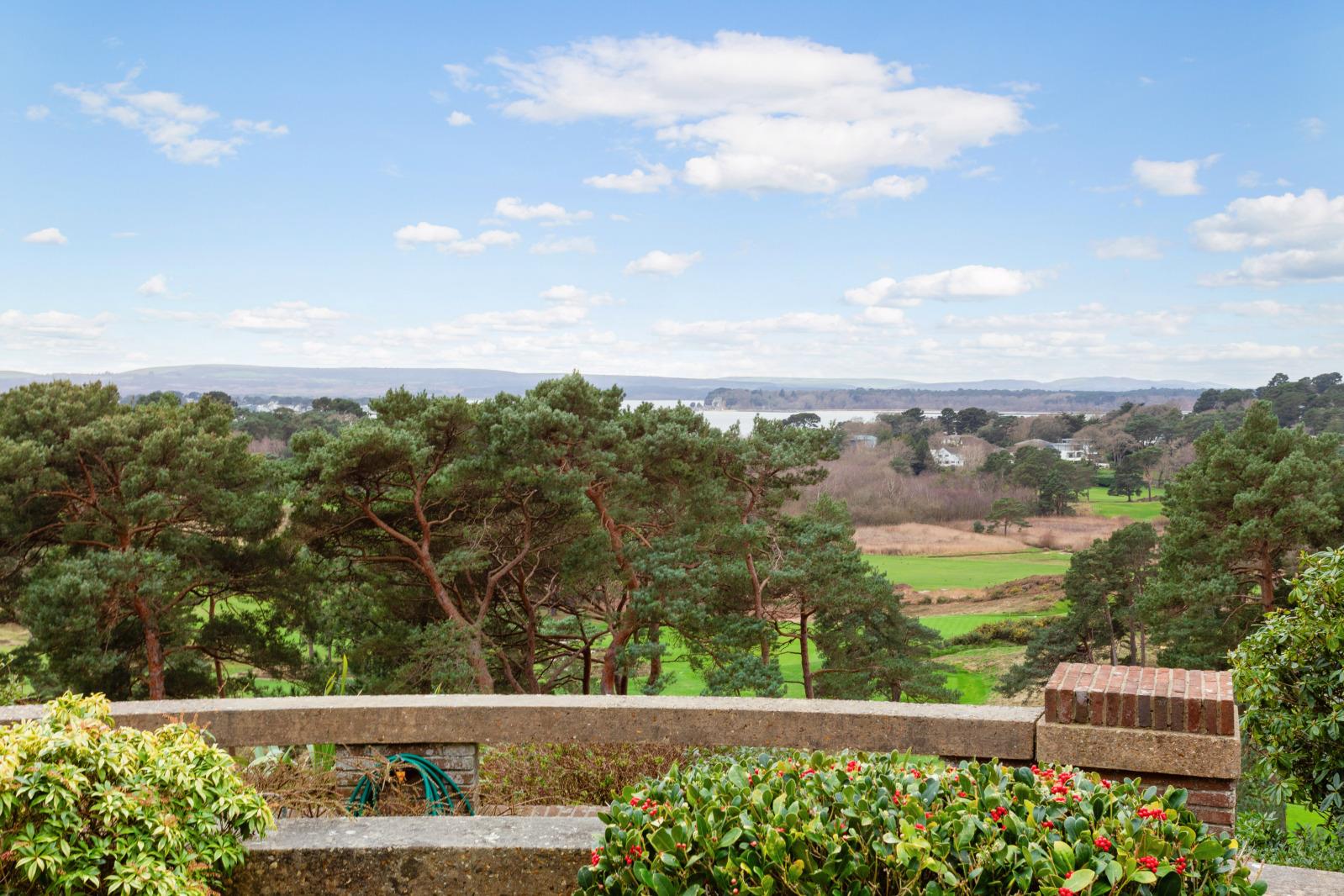Property Image 0a317866-c92e-4246-a48b-348e01080f7f