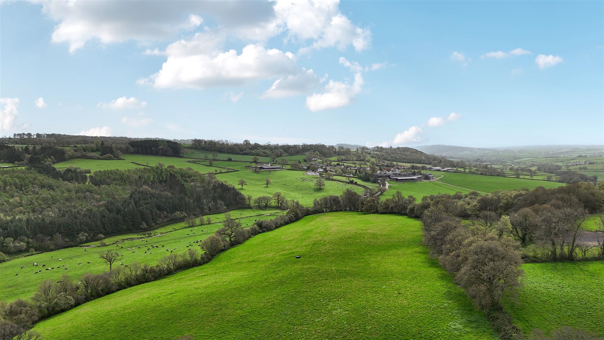 Property Image 0a55718d-ca03-45d1-8b6d-19fded78cd9b