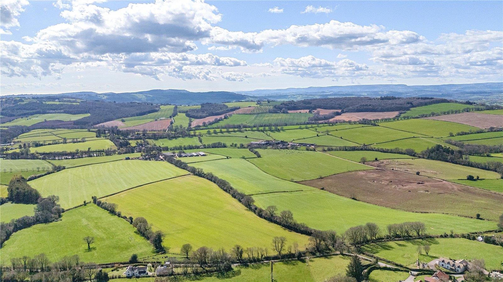 Property Image 0a82ac0b-1176-4fcf-897d-aa7df5b1f214