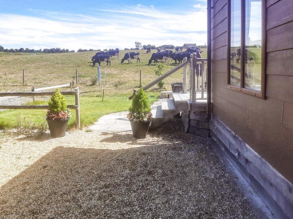 Property Image 0a98f081-c0d0-476e-830a-332483da5be2