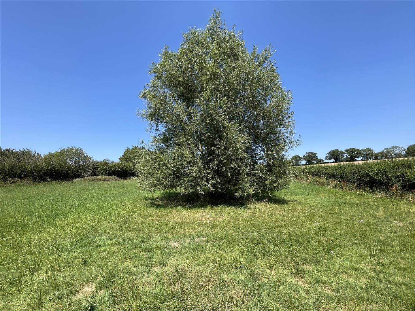 Property Image 0ae78c3c-35a9-4773-bbde-7aa700c2b0ec