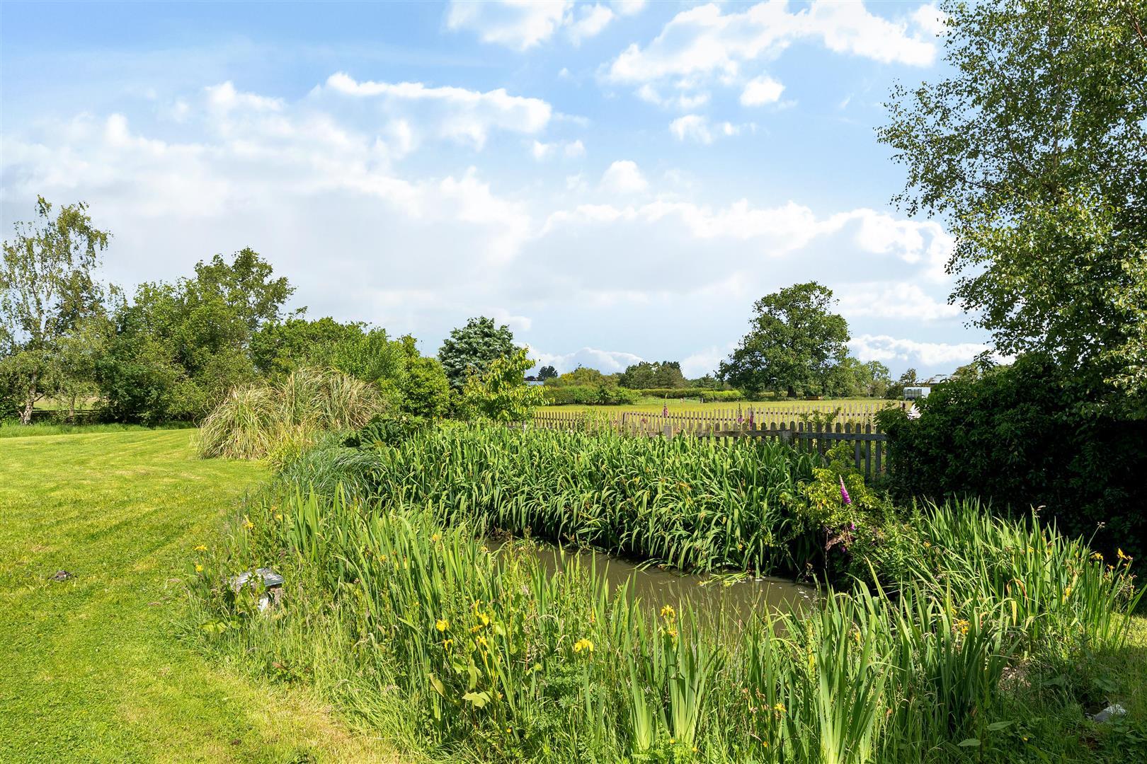 Image 25